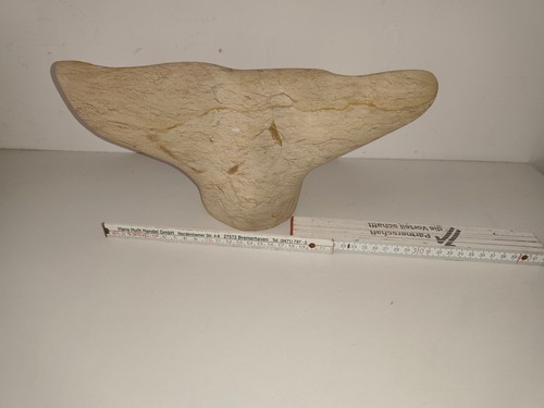 Kunst stein walfluke finne - kunst,