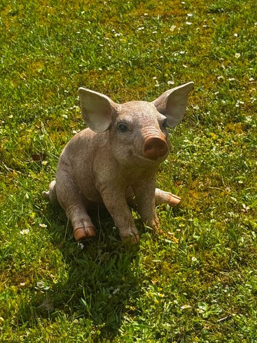 Gartenfigur schwein ferkel - gartenfigur,