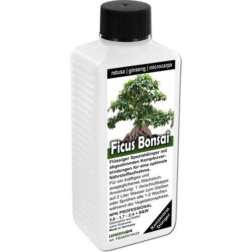 Ficus ginseng retusa