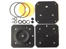 Reparatur Satz Landi Renzo IG1