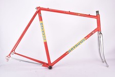 Batavus Professional frame set