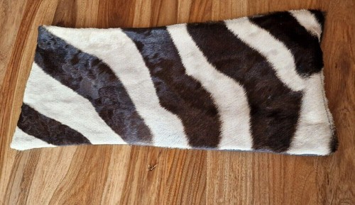 Echtes hartmann bergzebra - hartmann,