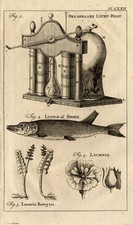 Antiker Druck-LUFTPUMPE-HECHT-BOTRYTIS-LYCHNIS-Käufe-1770