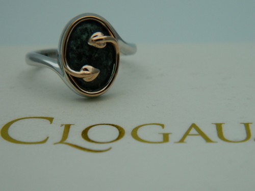 Walisischer clogau - walisischer,
