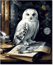 Malen nach Zahlen Erwachsene