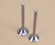 Einlassventil + Auslassventil