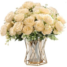 2 Bündel Pfingstrose