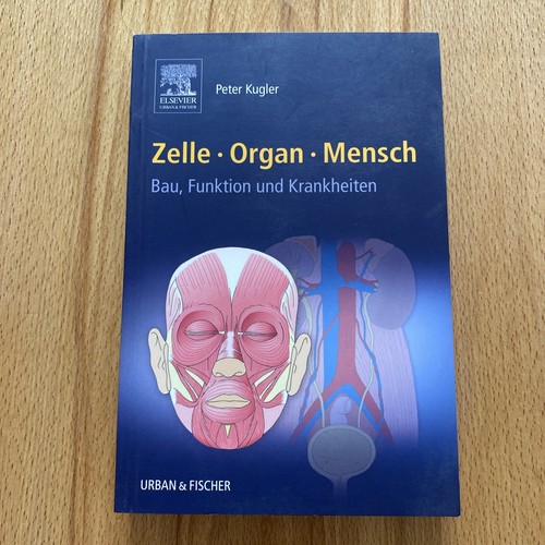 Zelle organ mensch - organ,