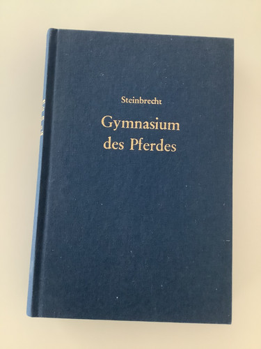 Gymnasium des pferdes - gymnasium,