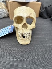 Trixie aquarium deko - deko, totenkopf