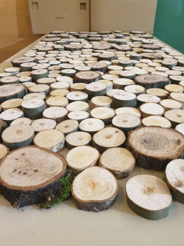 12cm holzscheiben - 1m²,