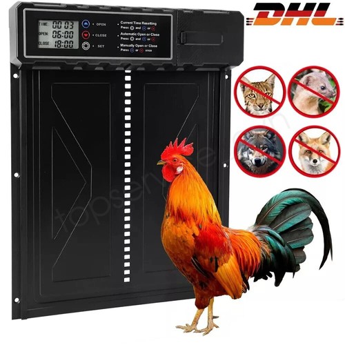 Xxl hühnerklappe elektrisch - xxl,
