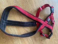 Anione Hundegeschirr Hund Gr. L, gepolstert Leine Halsband Geschirr 