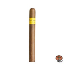 Montosa Amarillo Churchill