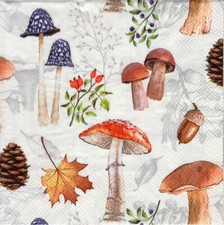 3 Servietten ~ Herbst, verschiedene  Pilze,  Pilzcollage ~ 33x33 cm