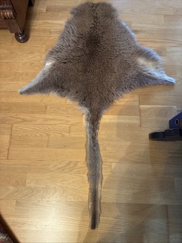 Känguruleder kängurufell - känguruleder,,