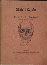 Skelett-Tafeln von Prof. Dr