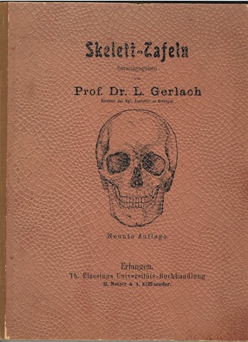 Skelett tafeln von - von, dr
