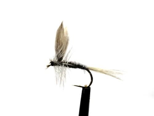 Trockenfliege blue dun - ",