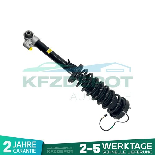 Stoßdämpfer hinten rechts - 1x,