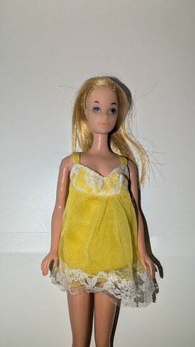 Barbie tnt standard 1973 - barbie,