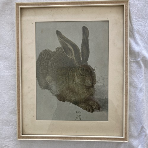 Albrecht dürer der - albrecht, „der