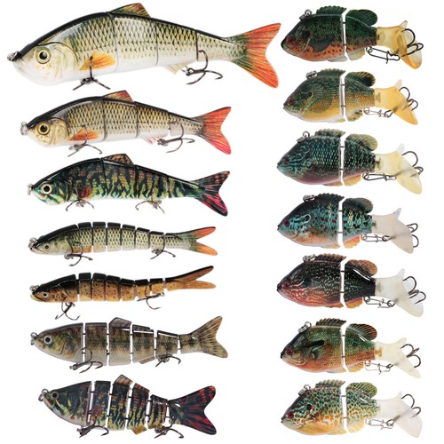 Angelköder fische angelsport - fische,