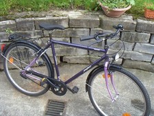 Jungherz Ventura 28- Zoll Herrenrad 7- Gang- Nabenschaltung Rücktritt