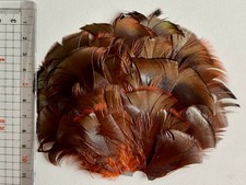 antike schöne  Hut Federn