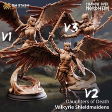 Tabletop Valkyrie Daughters of Death 32mm 75mm DM Stash Qumi