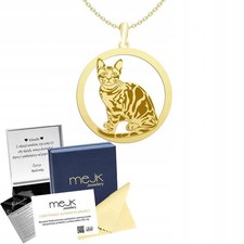 Goldener Bengal Katze