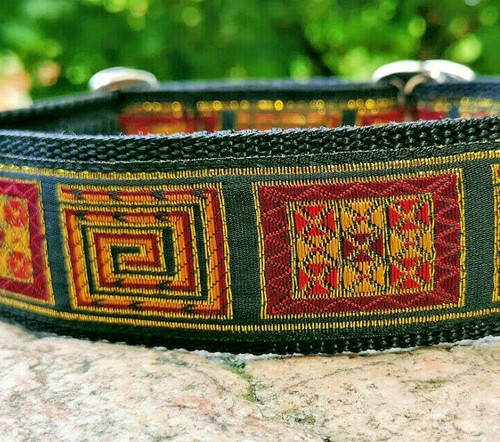 Exclusives hundehalsband mit - exclusives,