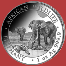 2026 Somalia 100 Shillings Wildlife Elefant  ST / BU  1 oz Silber 999/1000