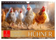 Hühner - gefiedert durchs
