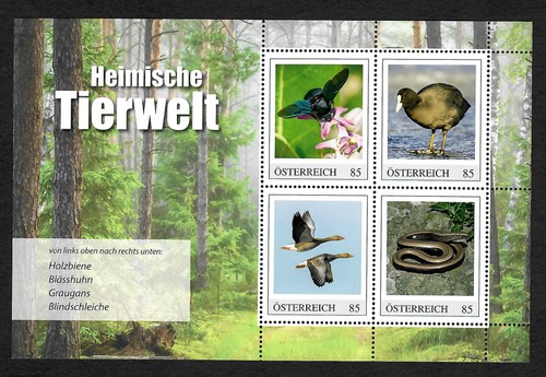 österreich 2021 heimische - Österreich, 2021: