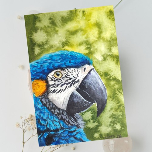 Papagei handgemalt mit