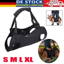 Hundetransporter älterer