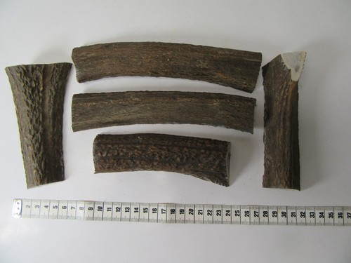 Geweihstücke messergriff - geweihstücke,