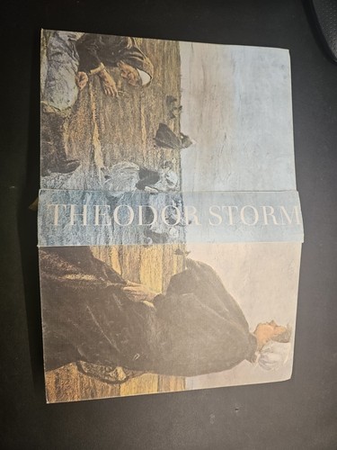 Theodor storm am - storm:,