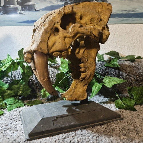 Säbelzahntiger deko totenkopf - säbelzahntiger,