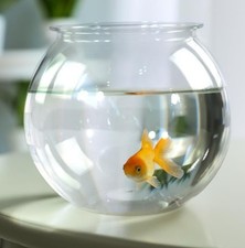 Mobiclinic Pets Aquarium Nemo