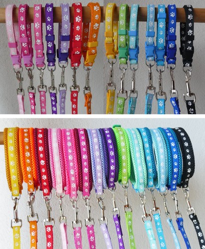 Welpenhalsband leine set - leine,