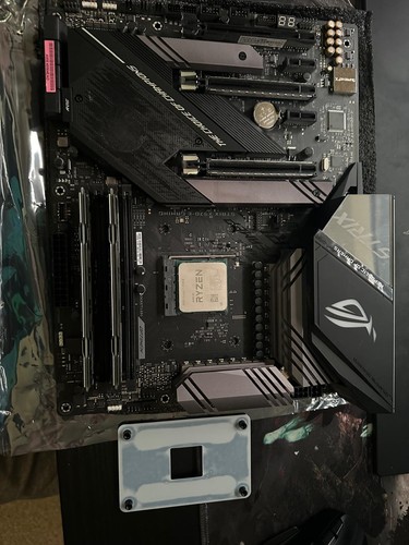 Sus rog strix - rog,
