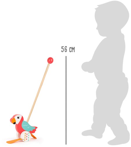 Small foot schiebetier papagei - foot,