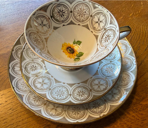 Sammeltasse winterling röslau - sammeltasse,