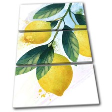Lemon fruit watercolour floral - watercolour,