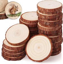 10/20/30 Rund Holzscheiben