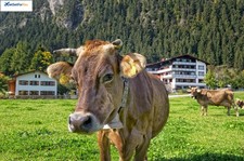 Kurzreise Allgäu 6 Tage 2P