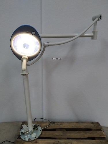 Hanaulux blue 56077460 - hanaulux, 30