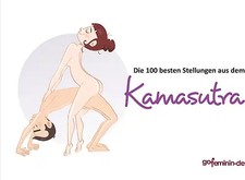 Die 100 besten Stellungen aus dem Kamasutra